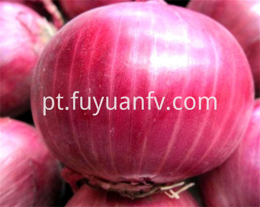 red onion